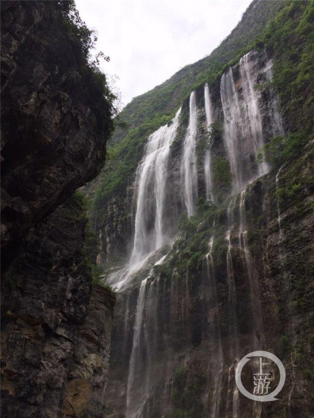 拯救树精灵
